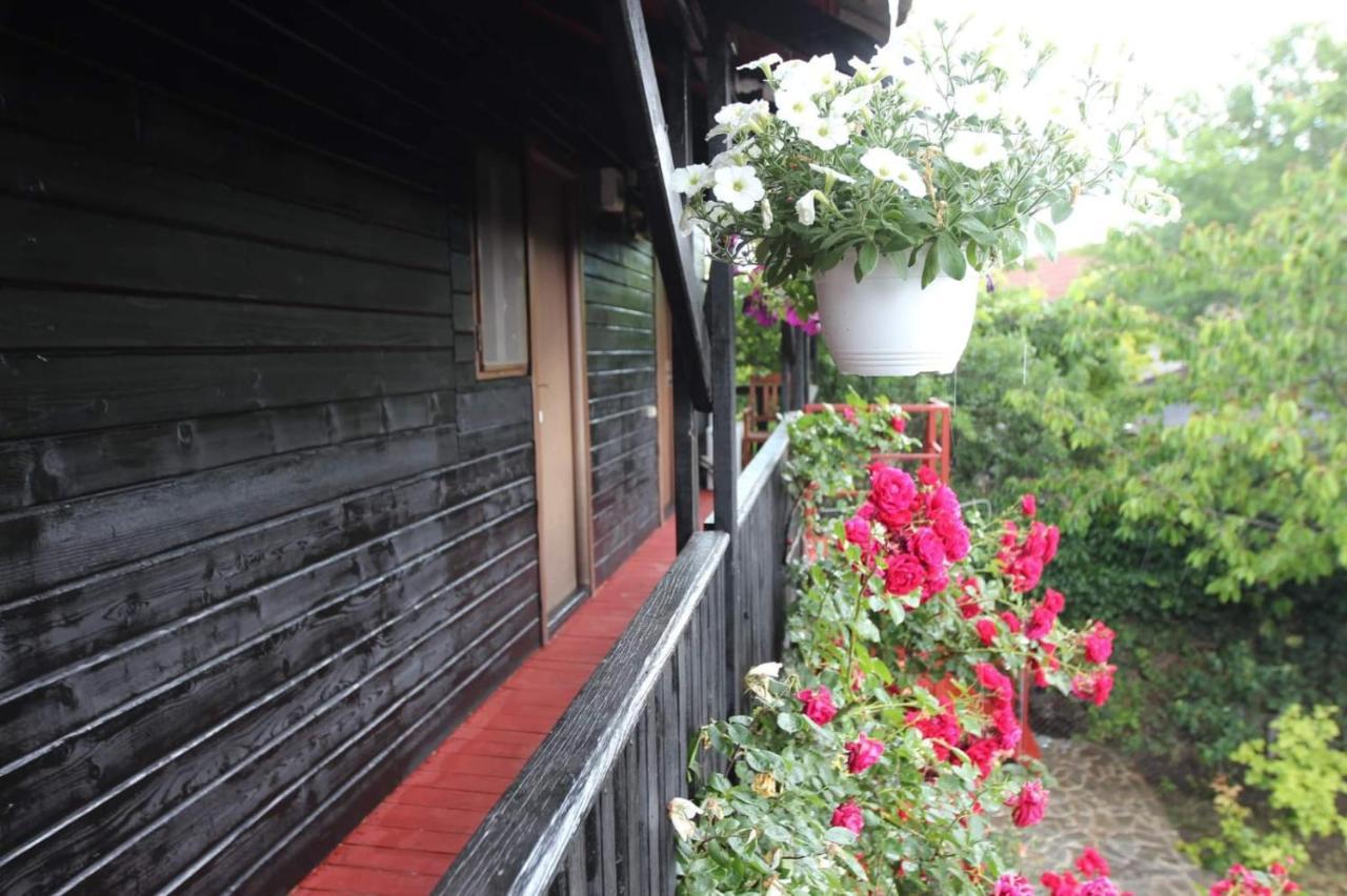 C Dor De Vama Bedrooms Vama Veche Exterior photo
